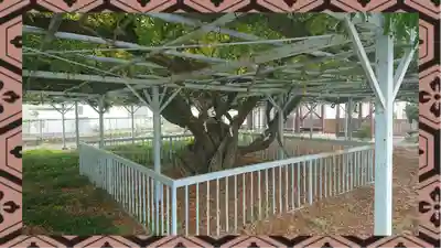 菖蒲神社(埼玉県)