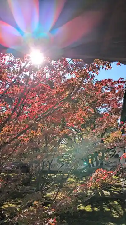 妙覺寺(妙覚寺)(京都府)
