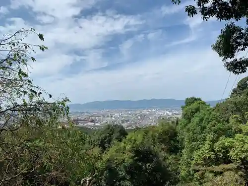 伏見稲荷大社の自然