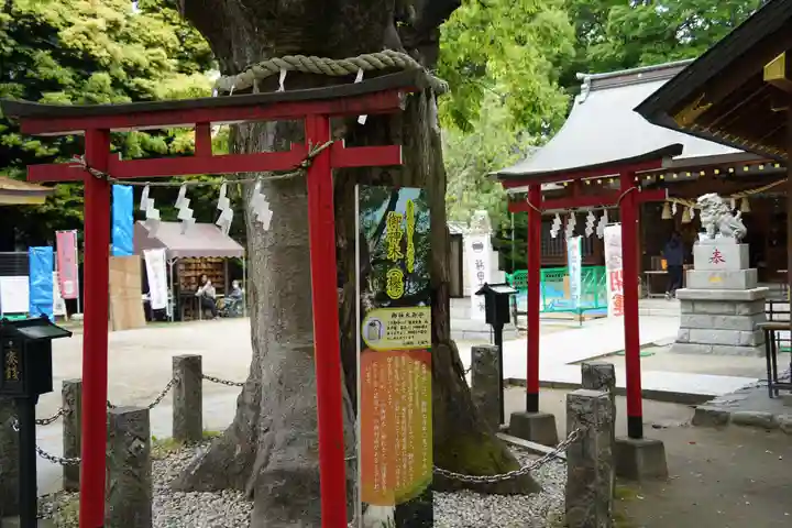 新田神社(東京都)