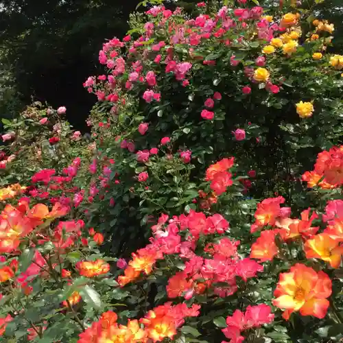 伊勢神宮内宮（皇大神宮）の自然