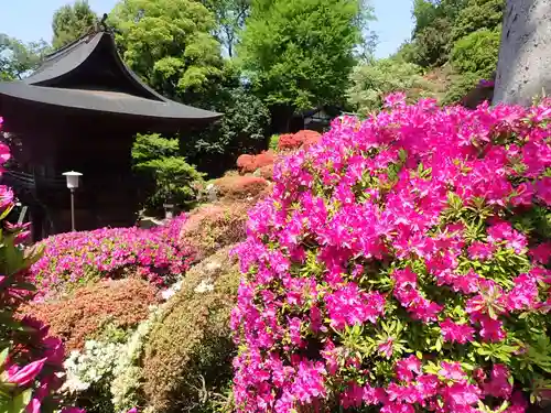 等覚院(神奈川県)