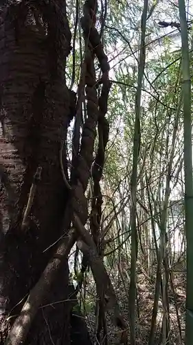 比佐豆知神社(三重県)