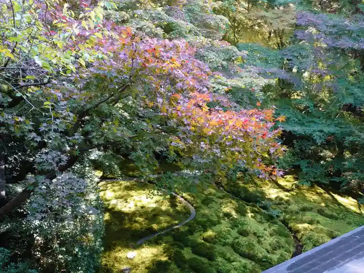 光明寺瑠璃光院(京都府)