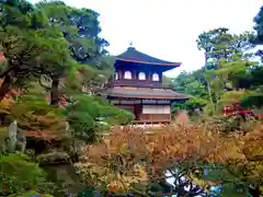 慈照寺（慈照禅寺・銀閣寺）(京都府)