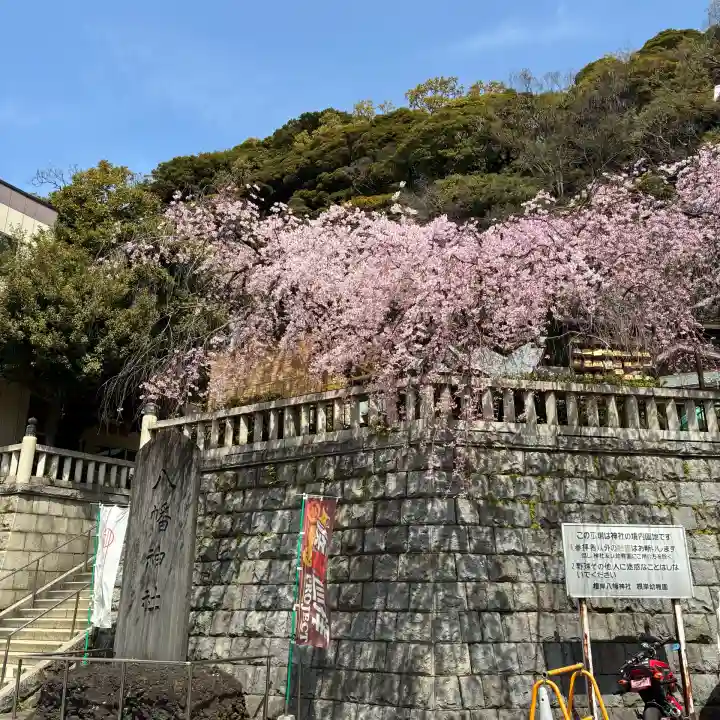 根岸八幡神社(神奈川県)