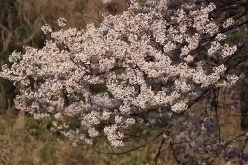 宇賀神さまの自然