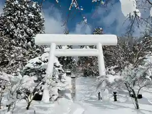 土津神社|こどもと出世の神さまの鳥居(2020年12月20日(日) 10時15分45秒投稿)