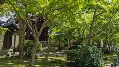 禅林寺(永観堂)(京都府)