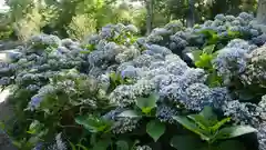 戸隠神社宝光社の自然