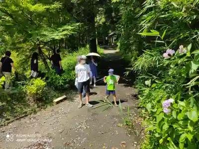 根道神社の自然