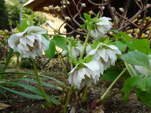 宝城坊(神奈川県)
