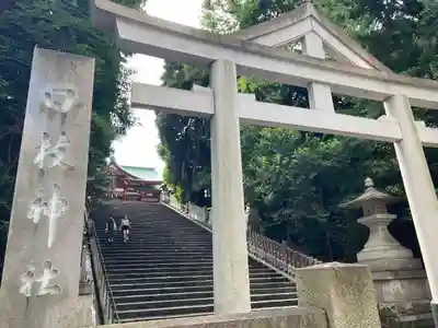 日枝神社の鳥居