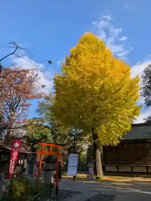 布多天神社(東京都)