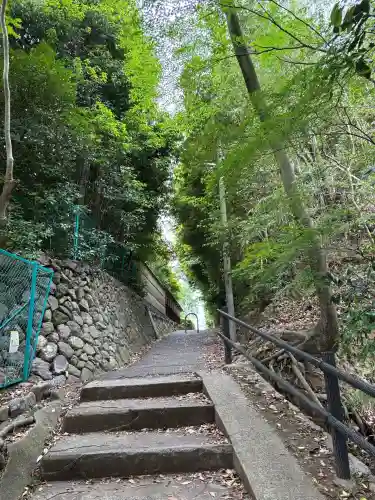 地蔵院(京都府)