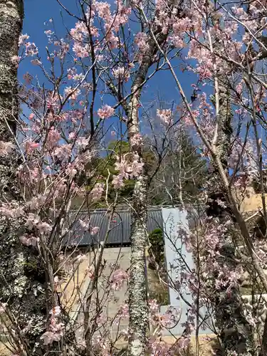 馬頭院(栃木県)