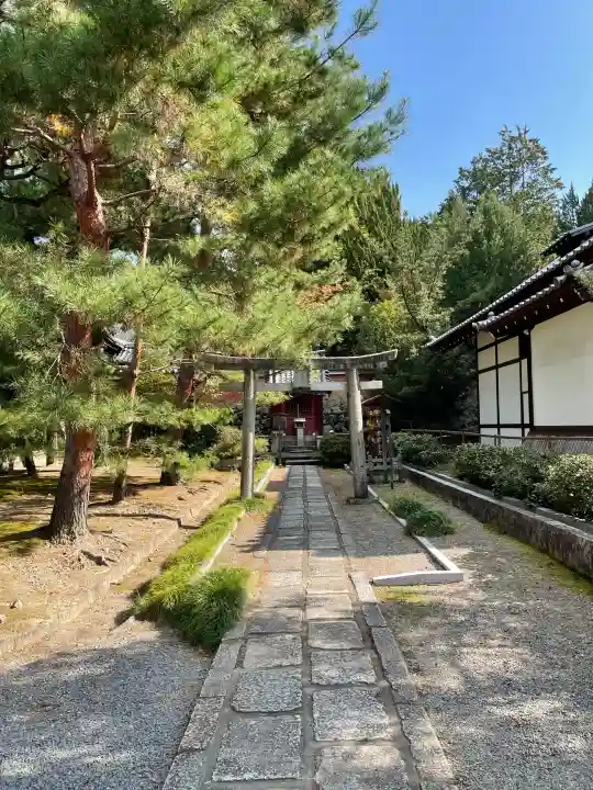 建仁寺(建仁禅寺)の{uncategorized: "未分類", other: "その他", undefined: "問題あり", building: "その他建物", grave: "お墓", sacred_gate: "鳥居", guardian: "狛犬", statue: "像", buddha: "仏像", history: "歴史", nature: "自然", garden: "庭園", animal: "動物", pagoda: "塔", temizu: "手水舎", mountain_gate: "山門・神門", sanctuary: "本殿・本堂", subordinate: "末社・摂社", art: "芸術", scenery: "景色", jizo: "地蔵", ema: "絵馬", goshuin: "御朱印", omikuji: "おみくじ", items: "授与品その他", amulet: "お守り", goshuincho: "御朱印帳", eats: "食事", festival: "お祭り", votive_dance: "神楽", shichigosan: "七五三参", wedding: "結婚式", experience: "体験その他", initially: "初詣", around: "周辺", anti_infection: "感染症対策"}