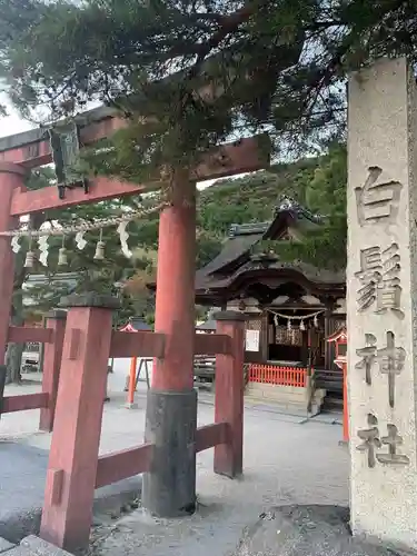 白鬚神社(滋賀県)