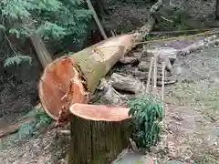 美濃夜神社の自然