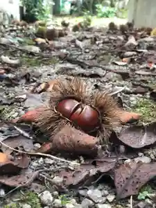 木舟山 順教寺の自然(2021年09月07日(火) 10時15分21秒投稿)