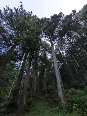 迦葉山龍華院弥勒護国寺(弥勒寺)の自然