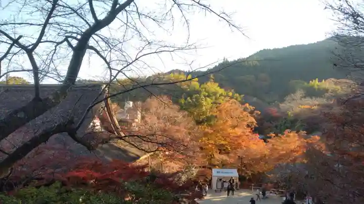 談山神社(奈良県)