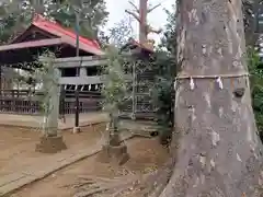 大井氷川神社(埼玉県)