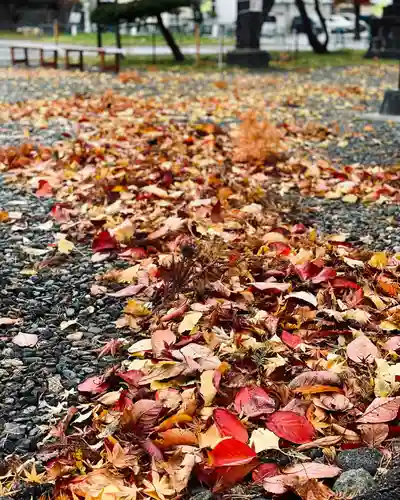 伊達神社の庭園