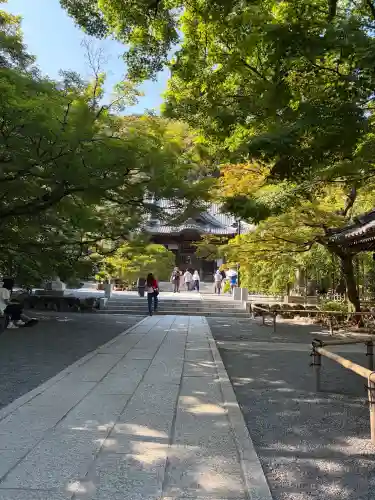 修禅寺(静岡県)