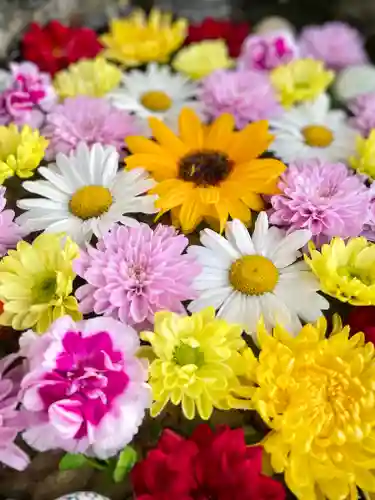 伊達神社の手水舎