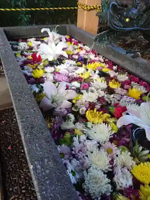 下野 星宮神社の手水舎
