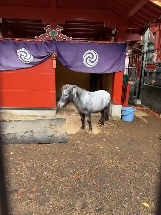 神田神社(神田明神)(東京都)