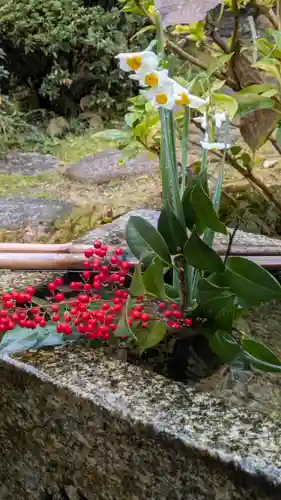 宝蔵寺(京都府)