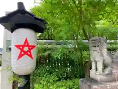 晴明神社の狛犬