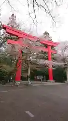 冠稲荷神社(群馬県)