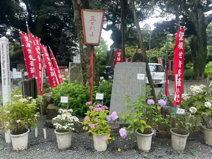 三ヶ根観音(太山寺)(愛知県)
