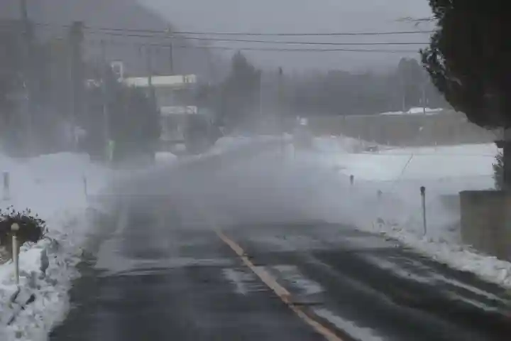 高司神社〜むすびの神の鎮まる社〜の自然