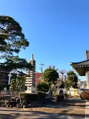 善福寺(東京都)