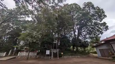新田稲荷神社(神奈川県)