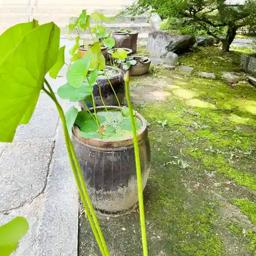 伊勢の国 四天王寺(三重県)