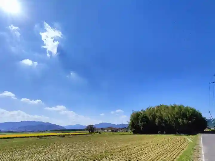 若宮神社(京都府)
