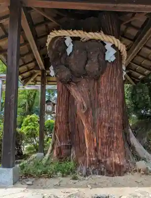 大直禰子神社(奈良県)