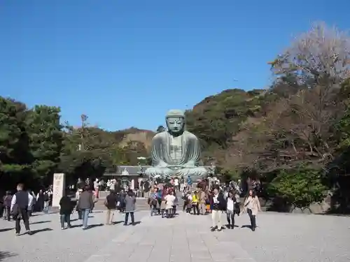 高徳院の仏像