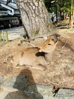 東大寺(奈良県)