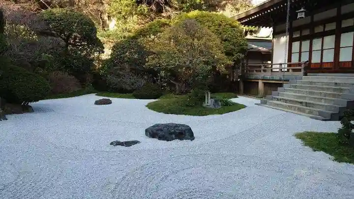報国寺の庭園
