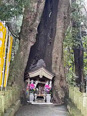 宝城坊(神奈川県)