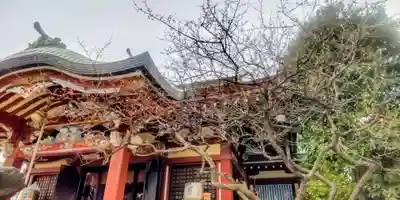 千住本氷川神社(東京都)