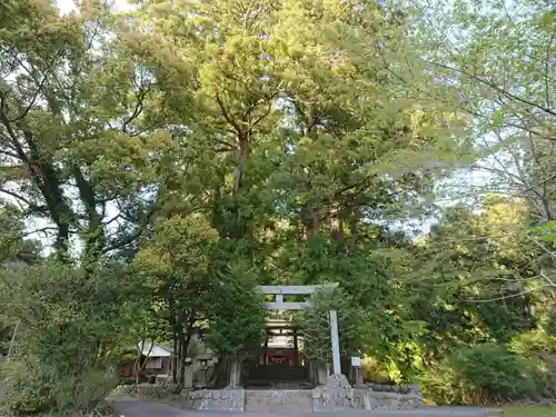 石座神社の鳥居