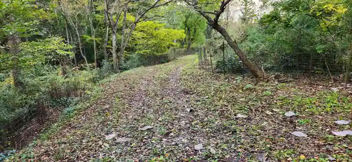 大沢寺観音の周辺