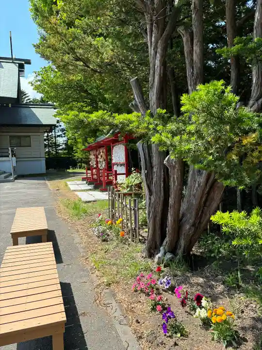 篠路神社の自然